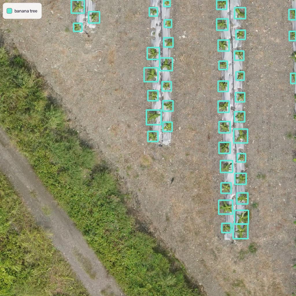 Benchmark sample: Aerial / Drone (Agriculture) with predicted boxes and labels