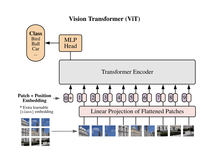The Vision Transformer for image classification