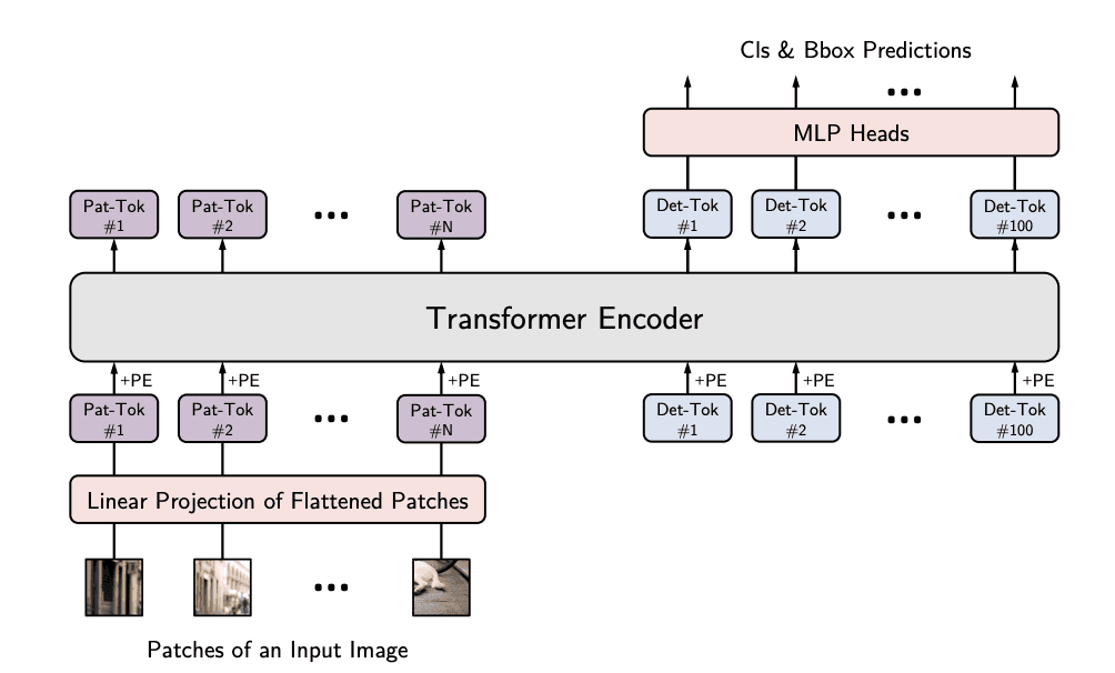 Diagram of the YOLOS transformer encoder and detection head architecture